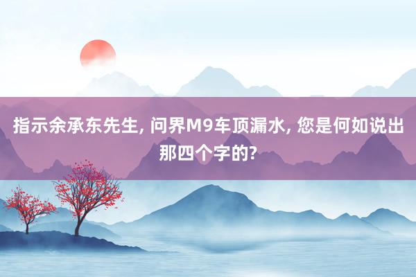 指示余承东先生, 问界M9车顶漏水, 您是何如说出那四个字的?