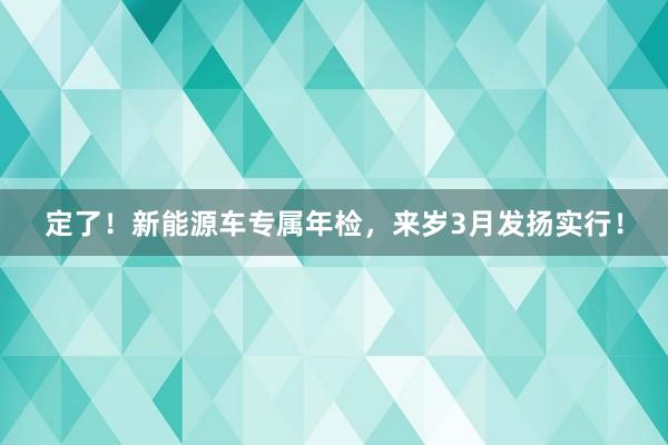 定了！新能源车专属年检，来岁3月发扬实行！