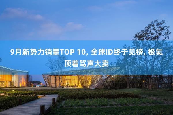 9月新势力销量TOP 10, 全球ID终于见榜, 极氪顶着骂声大卖