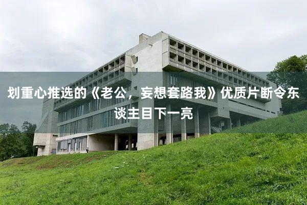 划重心推选的《老公，妄想套路我》优质片断令东谈主目下一亮