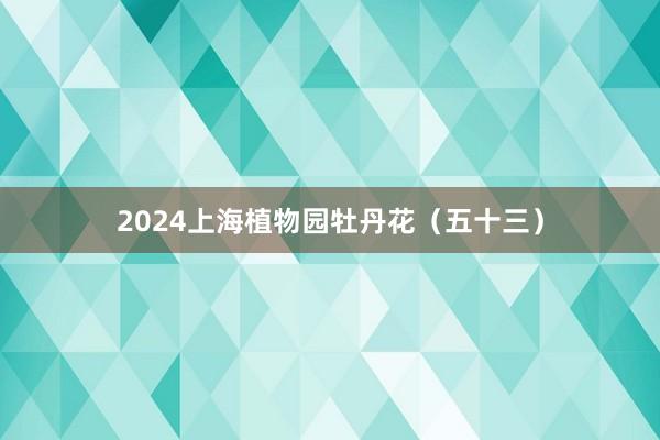 2024上海植物园牡丹花（五十三）