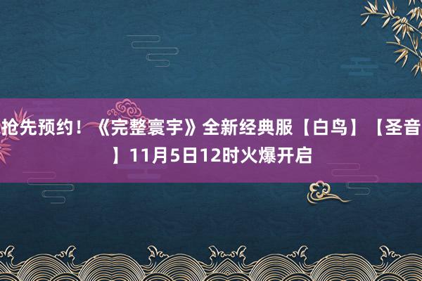 抢先预约！《完整寰宇》全新经典服【白鸟】【圣音】11月5日12时火爆开启