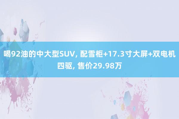 喝92油的中大型SUV, 配雪柜+17.3寸大屏+双电机四驱, 售价29.98万